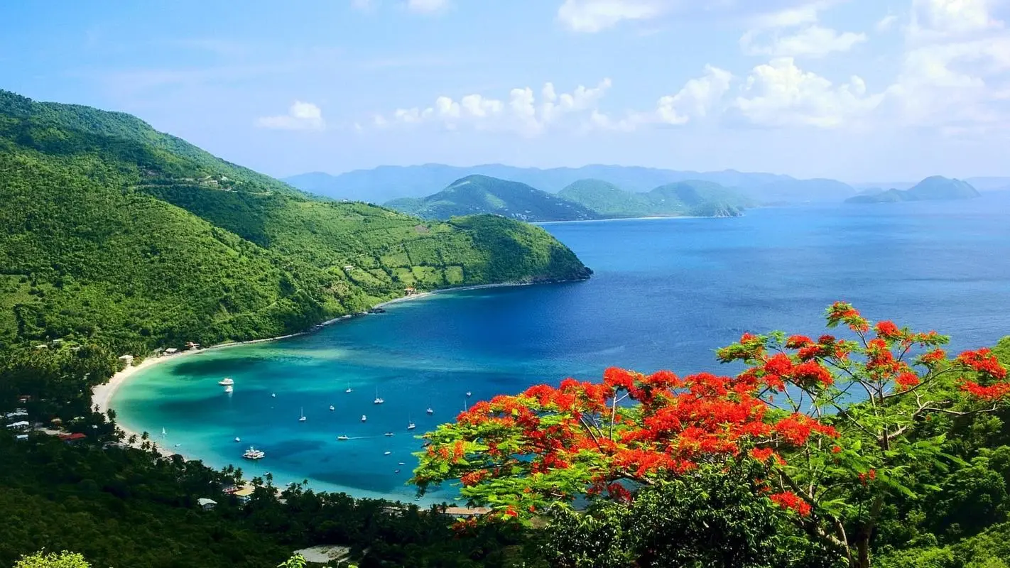 创意高质量